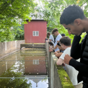 Kolding-3