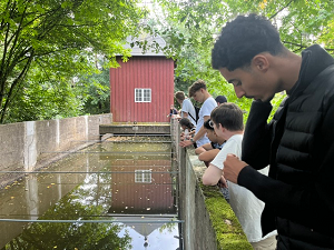 Kolding-3